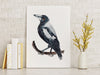 Australian Magpie Wall Art Print