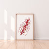 Dryandri Grevillea Wall Art Print Canvas and Print