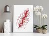 Dryandri Grevillea Wall Art Print Canvas and Print