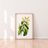 Elephant’s Ear Wattle Wall Art Print Canvas and Print