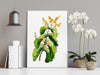 Elephant’s Ear Wattle Wall Art Print Canvas and Print