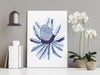 Banksia Flower Hamptons Wall Art Print