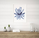 Banksia Flower Hamptons Wall Art Print