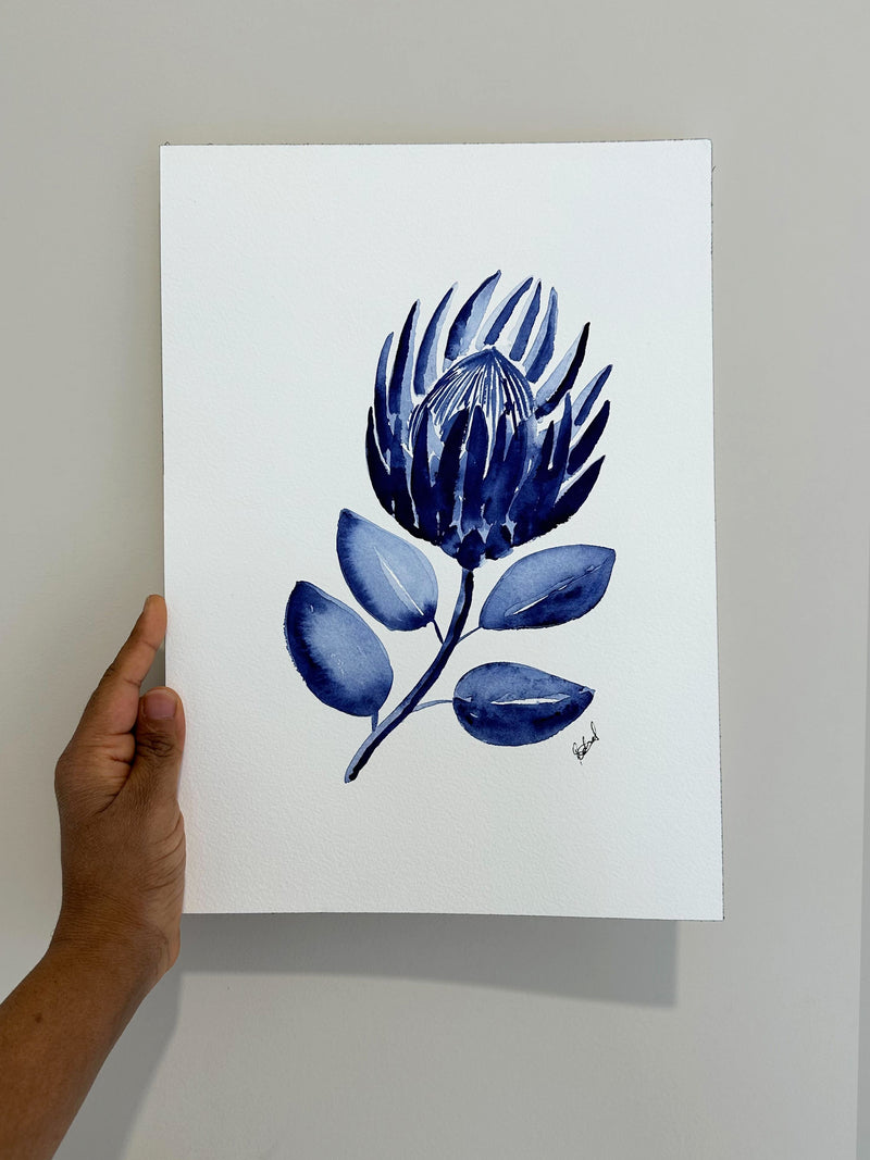 King Protea Flower Hamptons Original Watercolour Painting 9 x 12 in