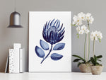 King Protea Flower Hamptons Wall Art Print