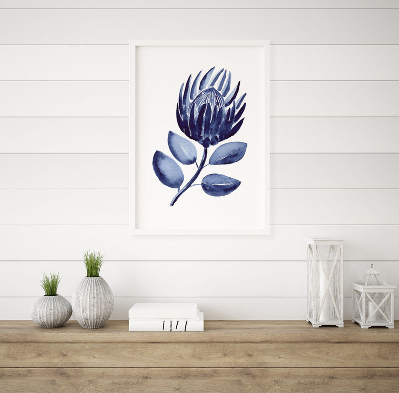 King Protea Flower Hamptons Wall Art Print