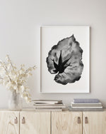 Begonia Rex Black and White Wall Art Print