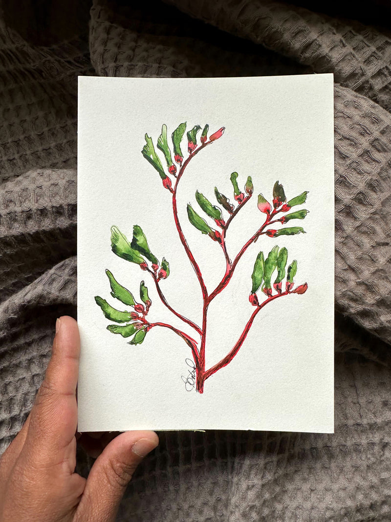 Kangaroo Paw Original Painting Pen and Watercolour Wall Art Size 5 x 7 in