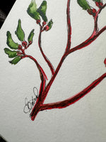 Kangaroo Paw Original Painting Pen and Watercolour Wall Art Size 5 x 7 in