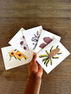 Australian Native Flowers Cards Pack 4x6" With Envelope