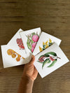 Australian Flower Native Cards Pack 4x6" With Envelope