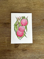 Australian Flower Native Cards Pack 4x6" With Envelope