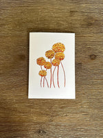 Australian Flower Native Cards Pack 4x6" With Envelope