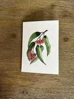 Australian Flower Native Cards Pack 4x6" With Envelope