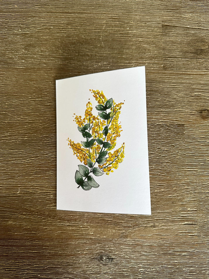 Australian Flower Native Cards Pack 4x6" With Envelope