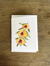 Australian Native Flowers Cards Pack 4x6" With Envelope