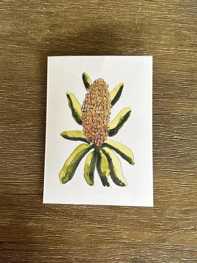 Australian Native Flowers Cards Pack 4x6" With Envelope