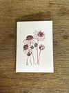 Australian Native Flowers Cards Pack 4x6" With Envelope