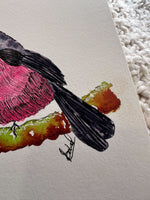 Pink Robin Original Painting Watercolour Wall Art Size 5 x 7 in