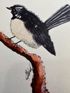 Willy Wagtail Original Painting Watercolour Wall Art Size 5 x 7 in