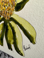 Coastal Banksia Original Painting Pen and Watercolour Wall Art Size 5 x 7 in