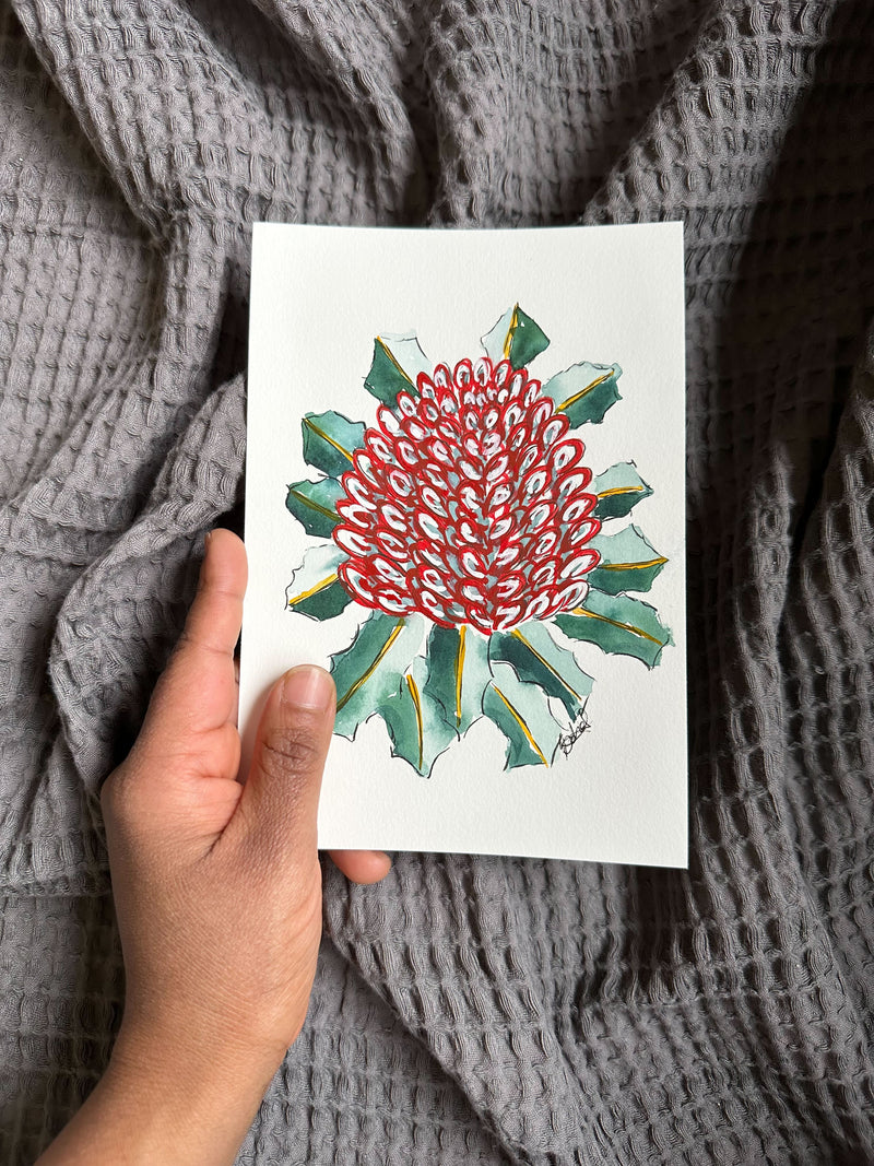 Banksia Coccinea Original Painting Pen and Watercolour Wall Art Size 5 x 7 in