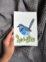 Splendid Fairy Wren Australian Native Birds Original Painting Pen and Watercolour Wall Art Size 5 x 7 in