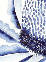 Banksia Flower Hamptons Original Watercolour Painting 9 x 12 in