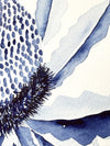 Banksia Flower Hamptons Original Watercolour Painting 9 x 12 in