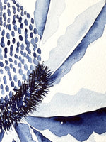 Banksia Flower Hamptons Original Watercolour Painting 9 x 12 in