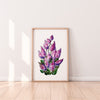 Mulla Mulla Wall Art Print Canvas and Print