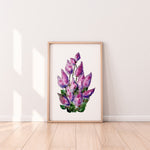 Mulla Mulla Wall Art Print Canvas and Print