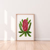 Red Banksia Wall Art Print Canvas and Print