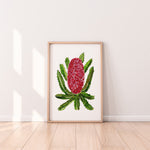Red Banksia Wall Art Print Canvas and Print