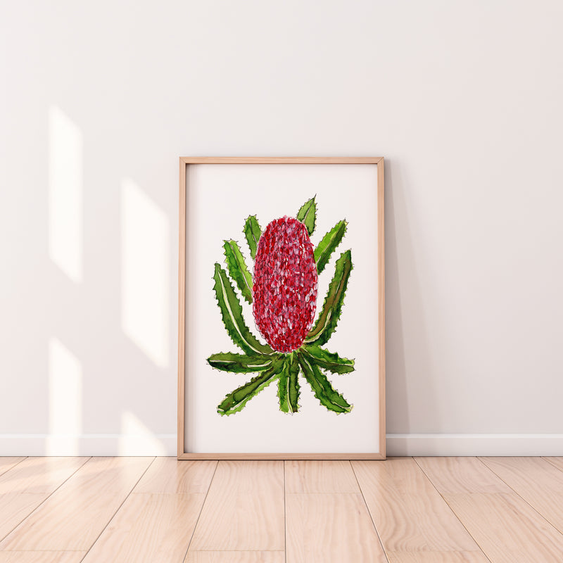 Red Banksia Wall Art Print Canvas and Print