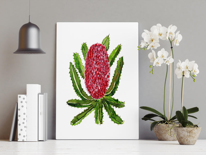 Red Banksia Wall Art Print Canvas and Print