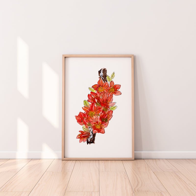 Red Flowering Kurrajong Wall Art Print Canvas and Print