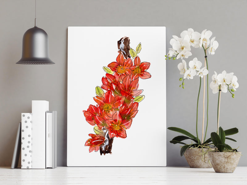 Red Flowering Kurrajong Wall Art Print Canvas and Print