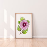 Sturt’s Desert Rose Wall Art Print Canvas and Print