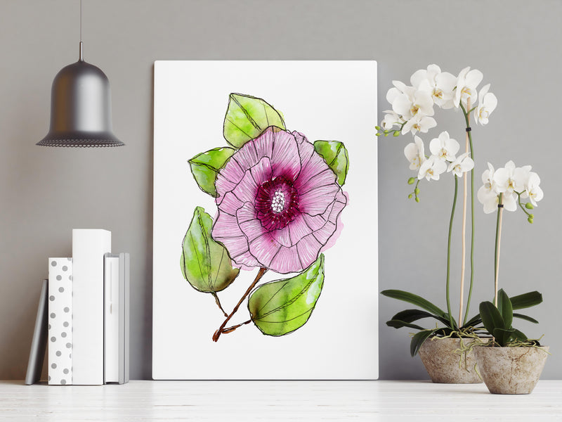 Sturt’s Desert Rose Wall Art Print Canvas and Print