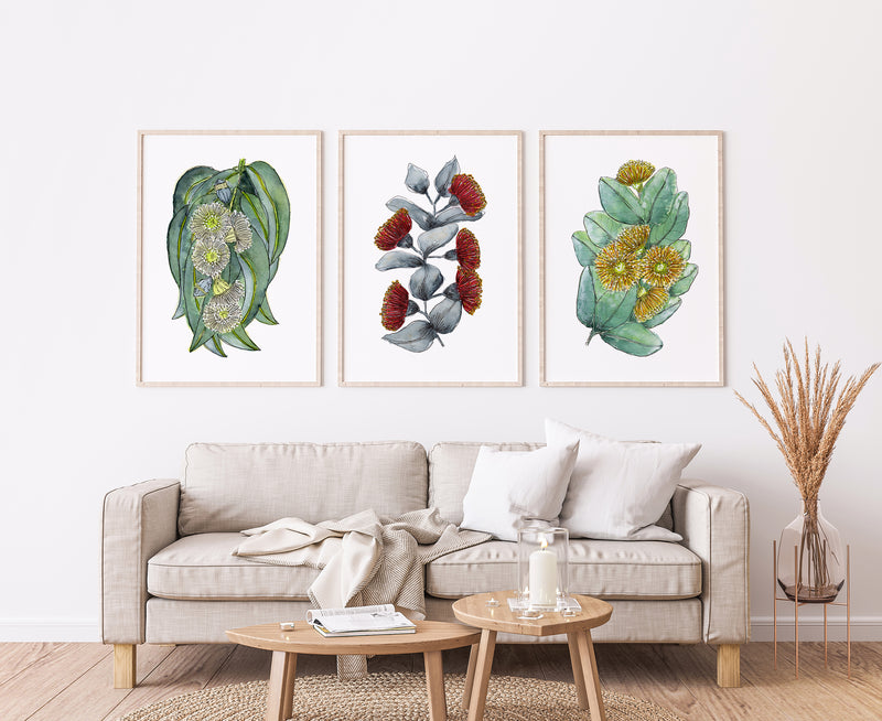 Set of 3 Tasmanian Blue Gum + Rose Mallee + Bell Fruited Mallee Watercolour Floral Canvas and Prints - Australian Native Decor