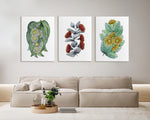 Set of 3 Tasmanian Blue Gum + Rose Mallee + Bell Fruited Mallee Watercolour Floral Canvas and Prints - Australian Native Decor