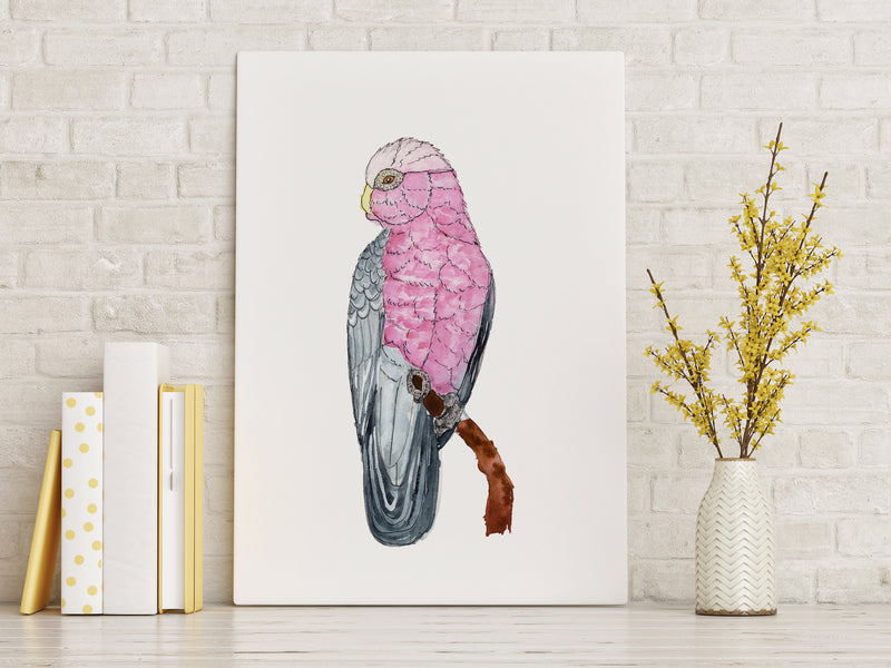 Galah Wall Art Print