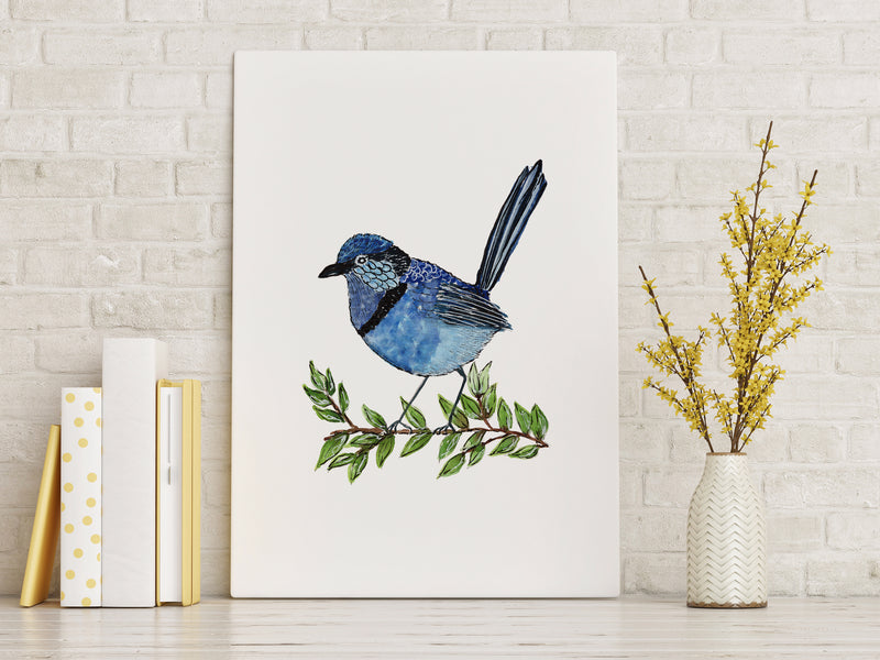 Splendid Fairy Wren Wall Art Print