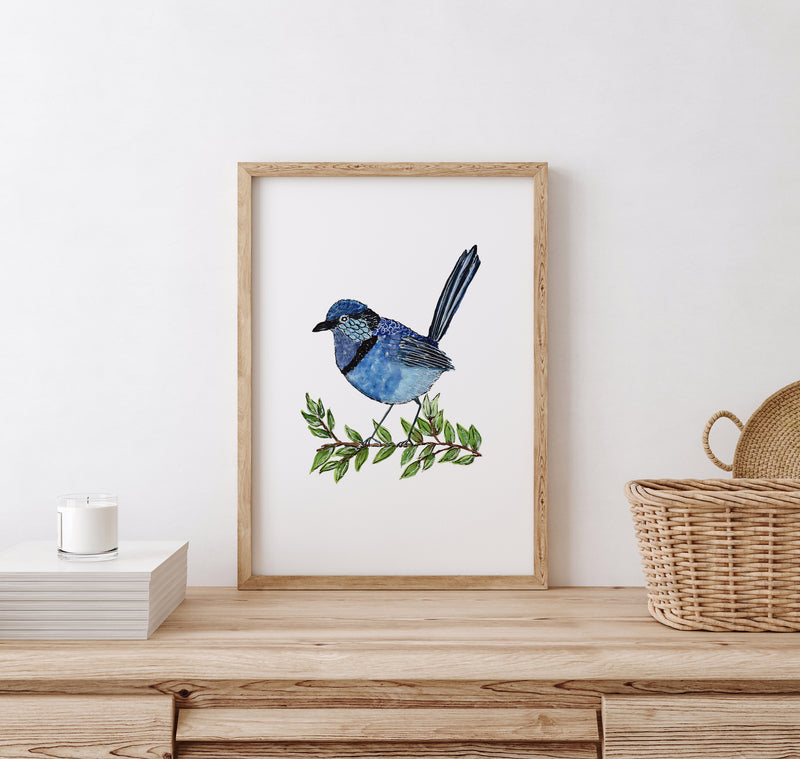 Splendid Fairy Wren Wall Art Print