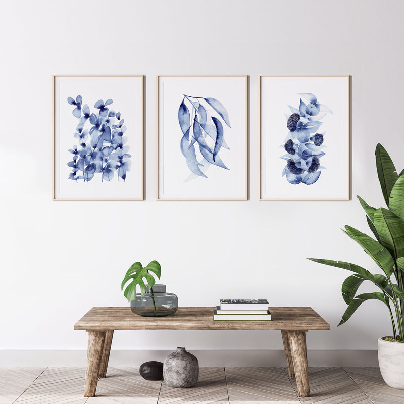 Hamptons Plants Trio Baby Blue + Blue Gum + Mallee Wall Art Canvasses and Prints