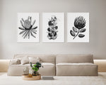 Contrast Collection Black + White Painting Trio Leaf Paintings Wall Art Prints