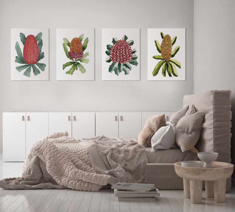 4 Set Banksia Bonanza Captivating Watercolour Canvasses and Prints Collection