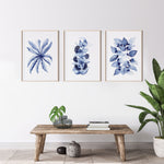 Set of 3 Birds Nest + Mallee + Heart Leaf Blue Leaf Wall Art Canvasses and Prints