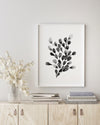 Bladderwrack Black and White Wall Art Print
